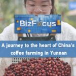 Yunnan_Brews_Up_China_s_Coffee_Revolution___ video poster
