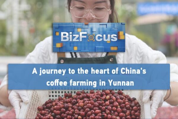 Yunnan Brews Up China’s Coffee Revolution ☕🌱 Yunnan_Brews_Up_China_s_Coffee_Revolution___ video poster