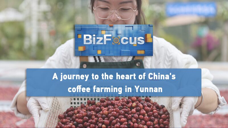 Yunnan_Brews_Up_China_s_Coffee_Revolution____poster - 🌍NewspaperAmigo – Your Global News Buddy 🗞️ Yunnan_Brews_Up_China_s_Coffee_Revolution___ video poster
