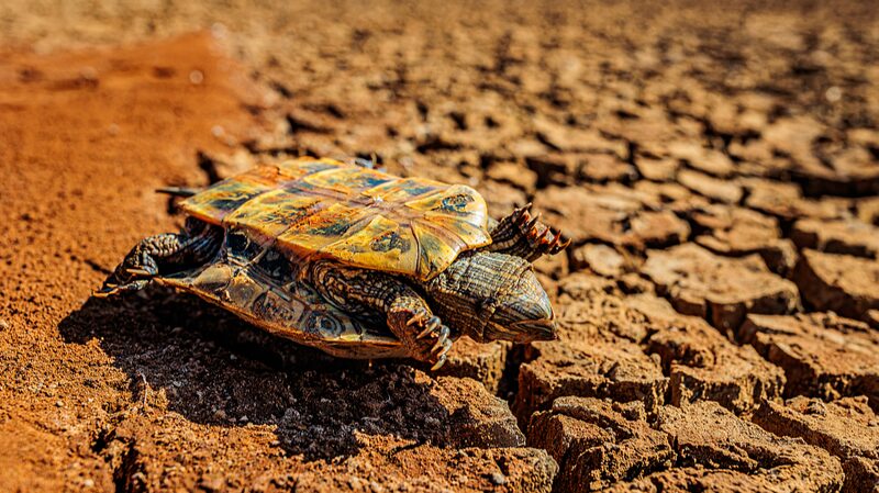 Yunnan_Drought_Relief__Battling_Water_Scarcity_in_Southwest_China____ - 🌍NewspaperAmigo – Your Global News Buddy 🗞️ Yunnan_Drought_Relief__Battling_Water_Scarcity_in_Southwest_China____