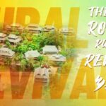 Yunnan_Village_Revives_with_Eco_Tourism___Tradition__ video poster