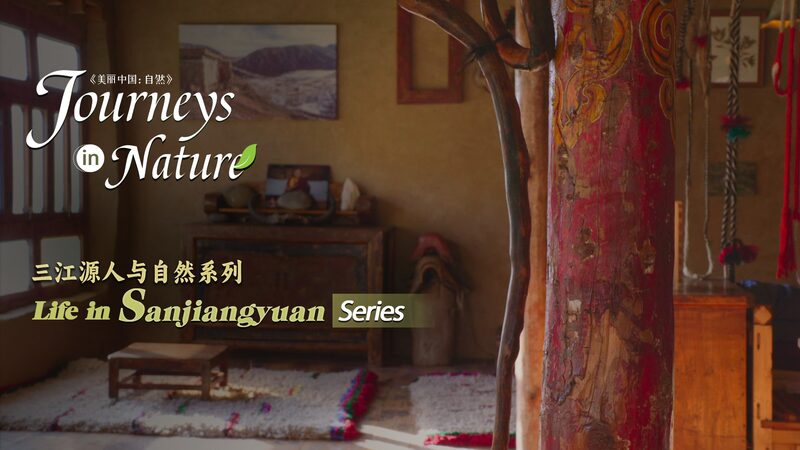 Zero_Waste_Village_Protects_Asia_s__Water_Tower____poster - 🌍NewspaperAmigo – Your Global News Buddy 🗞️ __Zero_Waste_Village_Protects_Asia_s__Water_Tower___ video poster