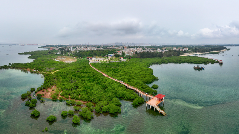 Zhanjiang_Police_Patrol_Mangroves_to_Stop_Illegal_Fishing____
