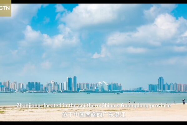 Zhanjiang’s Mangrove Magic: Eco-Friendly Aquaculture Thrives 🌱🐟 Zhanjiang_s_Mangrove_Magic__Eco_Friendly_Aquaculture_Thrives___ video poster
