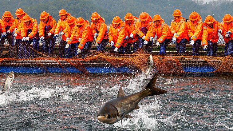 Zhejiang_Fishermen_Rejoice_Over_Record_Breaking_Catch___