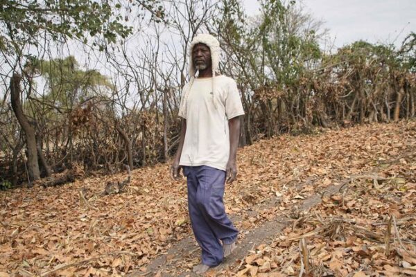Zimbabwe Boosts Food Aid as El Nino Drought Intensifies 🌾🚨 Zimbabwe_Boosts_Food_Aid_as_El_Nino_Drought_Intensifies___