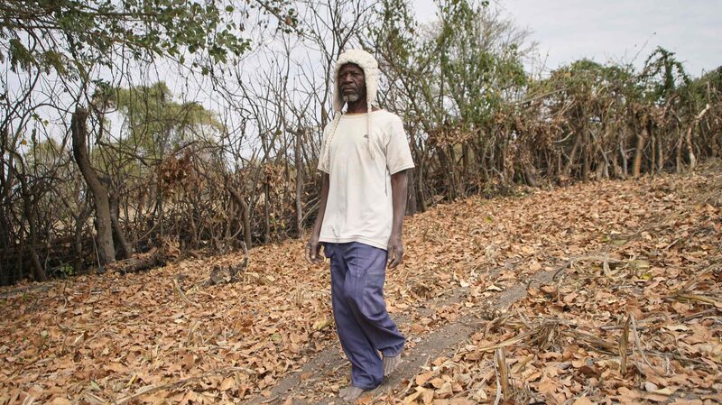 Zimbabwe_Boosts_Food_Aid_as_El_Nino_Drought_Intensifies___