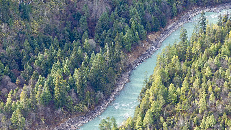 Xizang Leads Global Eco-Conservation Efforts 🌿🏔️