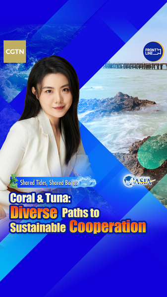 Guardians of the Sea 🌊: Uniting for a Sustainable South China Sea Guardians of the Sea 🌊: Uniting for a Sustainable South China Sea video poster