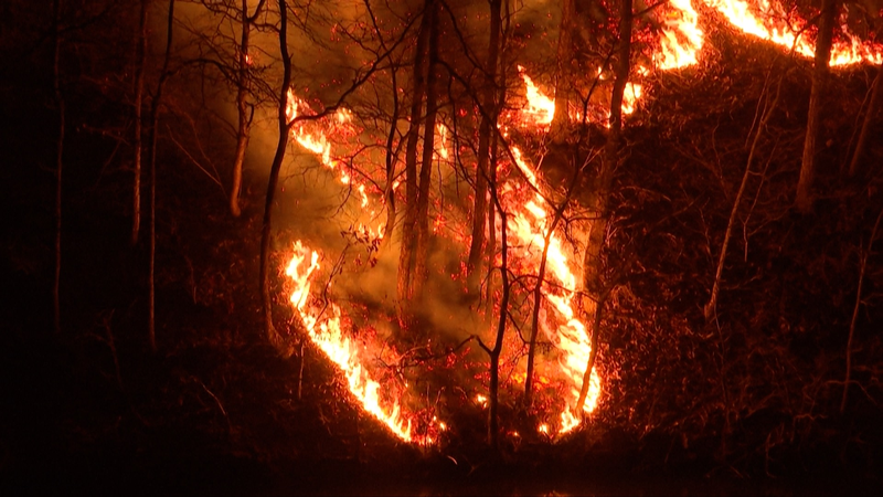 South Korea Battles Worst Wildfires in History as Death Toll Hits 26 🌪️🔥 South Korea Battles Worst Wildfires in History as Death Toll Hits 26 🌪️🔥 video poster