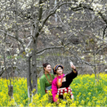 45ELAD5F6PGQ215KE526 - 🌍NewspaperAmigo – Your Global News Buddy 🗞️ Spring Blooms Paint Sichuan Village in White 🌸🏡