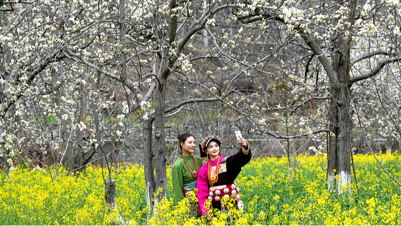 45ELAD5F6PGQ215KE526 - 🌍NewspaperAmigo – Your Global News Buddy 🗞️ Spring Blooms Paint Sichuan Village in White 🌸🏡