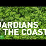 60M6QBEO4QVD30GEGEFM - 🌍NewspaperAmigo – Your Global News Buddy 🗞️ Guardians of the Coast: Mangroves Unite Indonesia & China 🌿🇮🇩🇨🇳 video poster