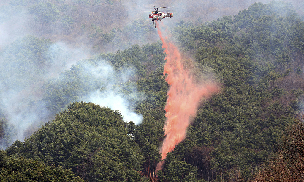 616823c79ffa4952825dc0e58b8b0b53 - 🌍NewspaperAmigo – Your Global News Buddy 🗞️ South Korea Wildfires: 27 Dead, Historic Temples Destroyed 🔥
