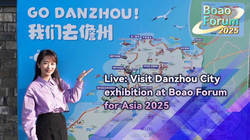 Danzhou City Shines at Boao Forum 2025 🌴✨ video poster