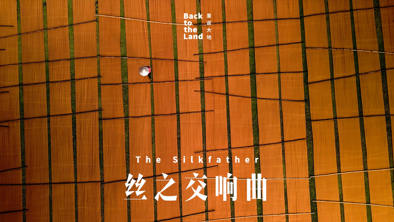 Silkfather: Weaving Guangdong’s Ancient Fabric into Modern Threads 🕸️✨ Silkfather: Weaving Guangdong’s Ancient Fabric into Modern Threads 🕸️✨ video poster