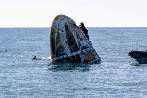 Dolphins Greet SpaceX Dragon Capsule After Historic Splashdown 🌊🚀 Dolphins Greet SpaceX Dragon Capsule After Historic Splashdown 🌊🚀