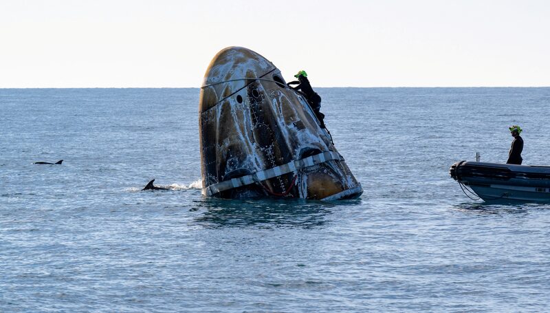 Dolphins Greet SpaceX Dragon Capsule After Historic Splashdown 🌊🚀