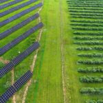 China_Leads_Global_Climate_Fight_with_Green_Energy_Push___ - 🌍NewspaperAmigo – Your Global News Buddy 🗞️ China_Leads_Global_Climate_Fight_with_Green_Energy_Push___