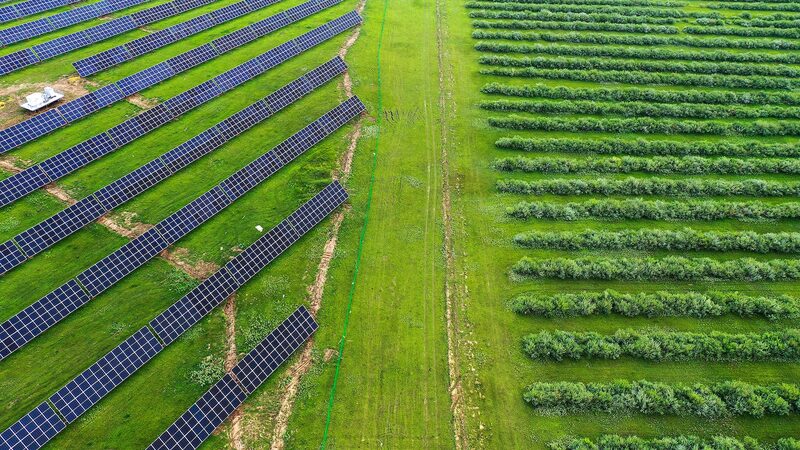 China_Leads_Global_Climate_Fight_with_Green_Energy_Push___