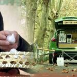 China_s_Cultural_Renaissance__Innovation_Meets_Tradition_____