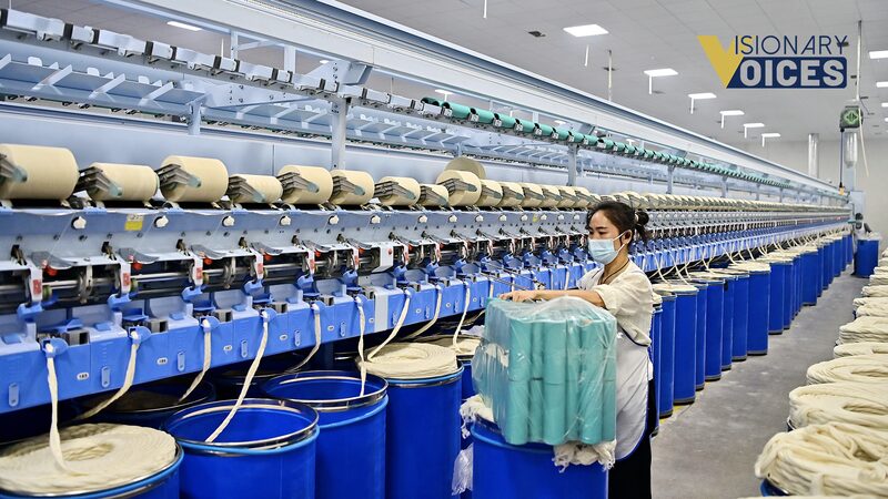 Chinaโs Private Economy: Fueling Innovation & Global Growth ๐ China_s_Private_Economy__Fueling_Innovation___Global_Growth__