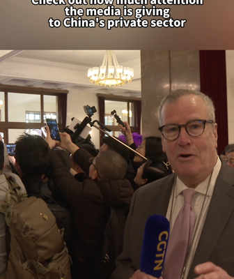 China’s Private Sector in Spotlight at Two Sessions 🚀📈 China_s_Private_Sector_in_Spotlight_at_Two_Sessions___ video poster