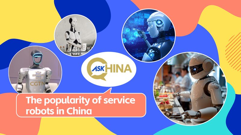 China_s_Robot_Revolution____How_AI_Is_Shaping_Daily_Life_poster - 🌍NewspaperAmigo – Your Global News Buddy 🗞️ China_s_Robot_Revolution____How_AI_Is_Shaping_Daily_Life video poster