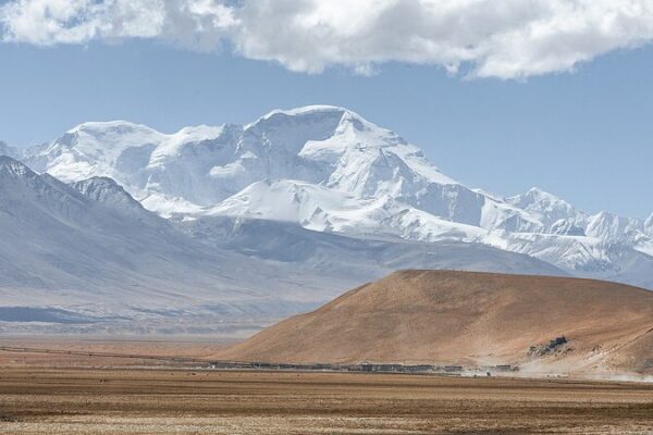 Chinese Scientists Discover 19 New Fungal Species on Qinghai-Xizang Plateau 🍄 Chinese_Scientists_Discover_19_New_Fungal_Species_on_Qinghai_Xizang_Plateau__