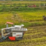 DB16JGA6EPUOK9ODHSTY - 🌍NewspaperAmigo – Your Global News Buddy 🗞️ China Prioritizes Food Security & Farm Innovation 🌾🚜