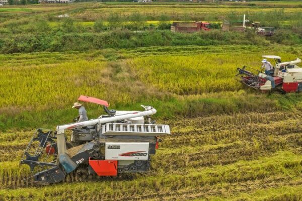 China Prioritizes Food Security & Farm Innovation ๐พ๐ China Prioritizes Food Security & Farm Innovation ๐พ๐