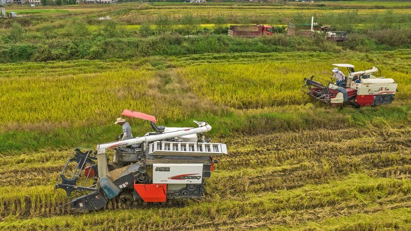China Prioritizes Food Security & Farm Innovation 🌾🚜