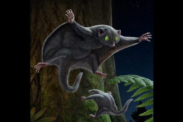 Dark Fur: How Early Mammals Evaded Dinosaurs 🦇🌙 Dark_Fur__How_Early_Mammals_Evaded_Dinosaurs___