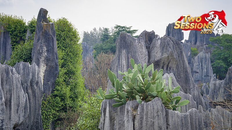 Explore Shenjian Stone Forest: Nature’s Artistry in Guangxi 🌄✨ Explore_Shenjian_Stone_Forest__Nature_s_Artistry_in_Guangxi___ video poster