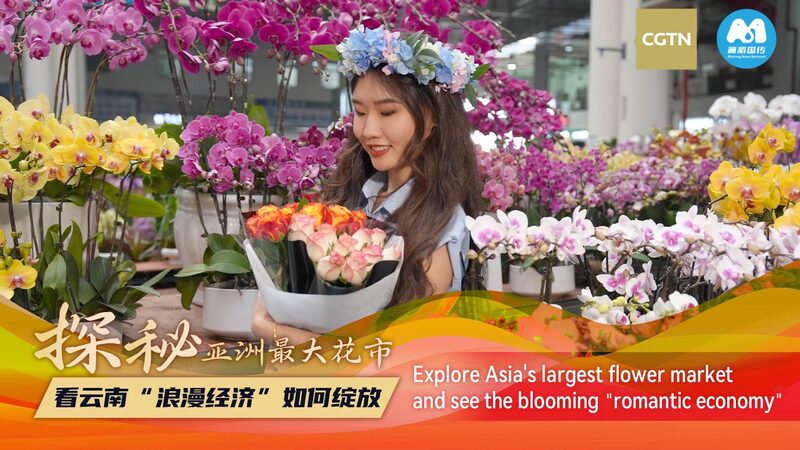 Asia’s Largest Flower Market Blooms with Global Reach 🌸💼 Asia's Largest Flower Market Blooms with Global Reach 🌸💼 video poster
