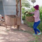 From_Cattle_Woes_to_Mushroom_Wins____A_Cambodian_Entrepreneur_s_Journey_poster - 🌍NewspaperAmigo – Your Global News Buddy 🗞️ From_Cattle_Woes_to_Mushroom_Wins____A_Cambodian_Entrepreneur_s_Journey video poster