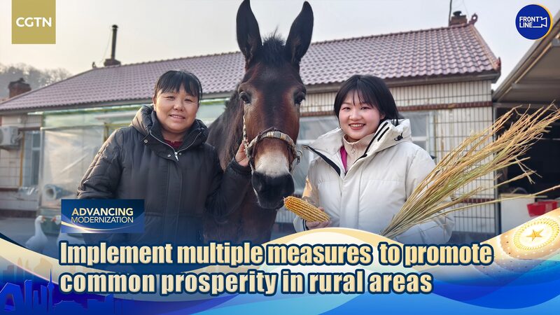 From Fields to Beijing: How Rural Voices Shape China’s Policies 🌾🏛️ From_Fields_to_Beijing__How_Rural_Voices_Shape_China_s_Policies____ video poster