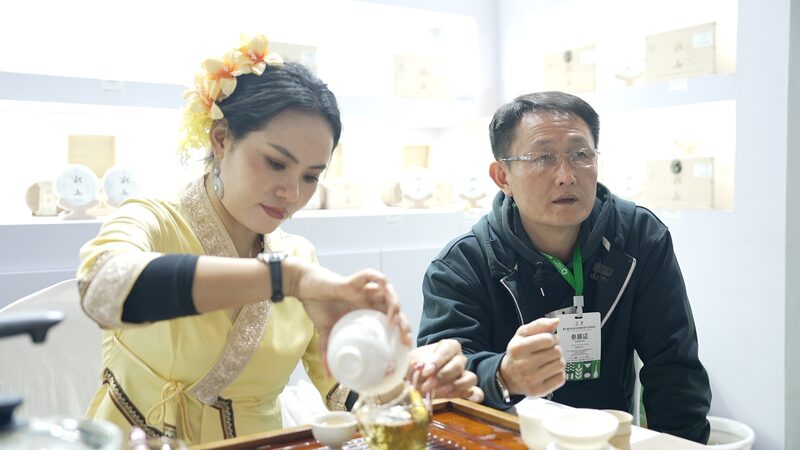 From_Wild_Forests_to_Global_Markets__The_Rise_of_Yunnan_s_Bingdao_Pu_er video poster