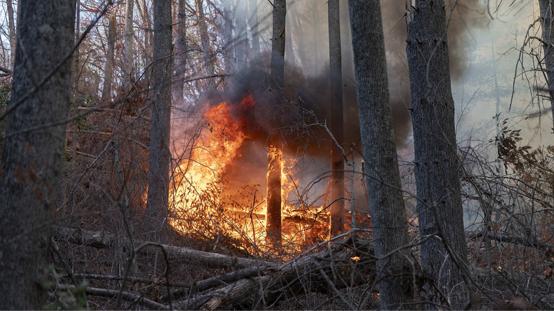 Wildfires Rage in Carolinas: Evacuations Expand as Blaze Intensifies 🌲🔥 Wildfires Rage in Carolinas: Evacuations Expand as Blaze Intensifies 🌲🔥