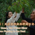 Grandfather___Granddaughter_Turn_Desert_into_Oasis____poster - 🌍NewspaperAmigo – Your Global News Buddy 🗞️ Grandfather___Granddaughter_Turn_Desert_into_Oasis___ video poster