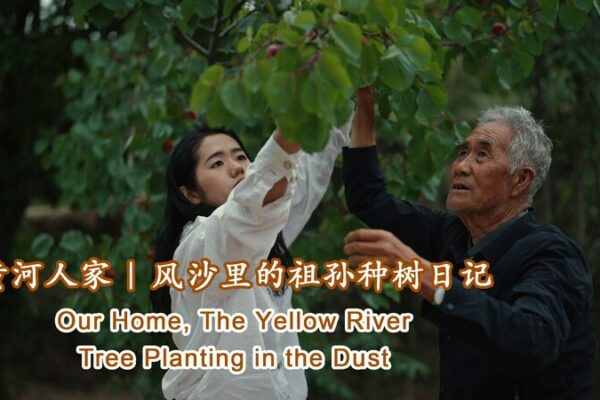 Grandfather & Granddaughter Turn Desert into Oasis 🌱💧 Grandfather___Granddaughter_Turn_Desert_into_Oasis___ video poster
