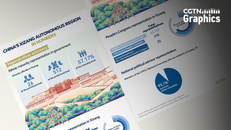Xizang Sees Growth in Ethnic Minority Representation 🌏✨