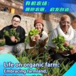 Organic_Farming_on_the_Chinese_Mainland__Growing_Green_and_Community____poster - 🌍NewspaperAmigo – Your Global News Buddy 🗞️ Organic_Farming_on_the_Chinese_Mainland__Growing_Green_and_Community___ video poster