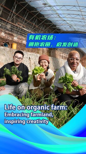 Organic_Farming_on_the_Chinese_Mainland__Growing_Green_and_Community___ video poster