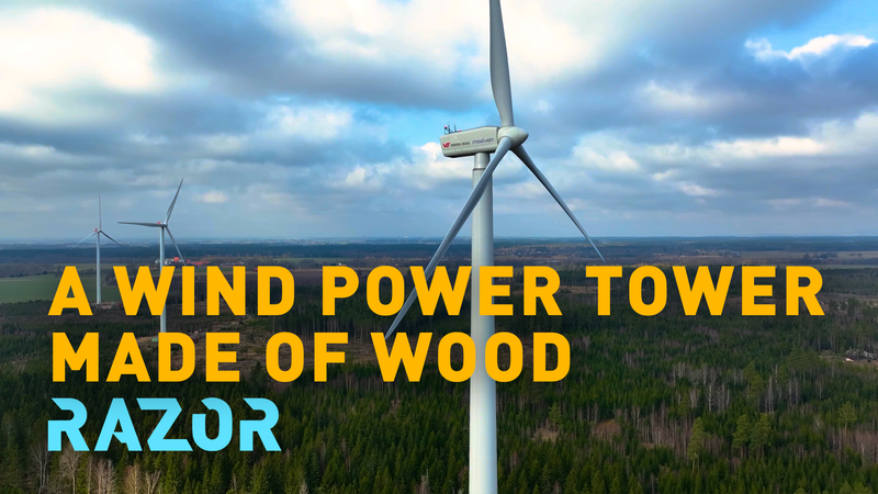 Nature’s Carbon Fiber: Could Wood Transform Wind Energy? 🌱💨 video poster