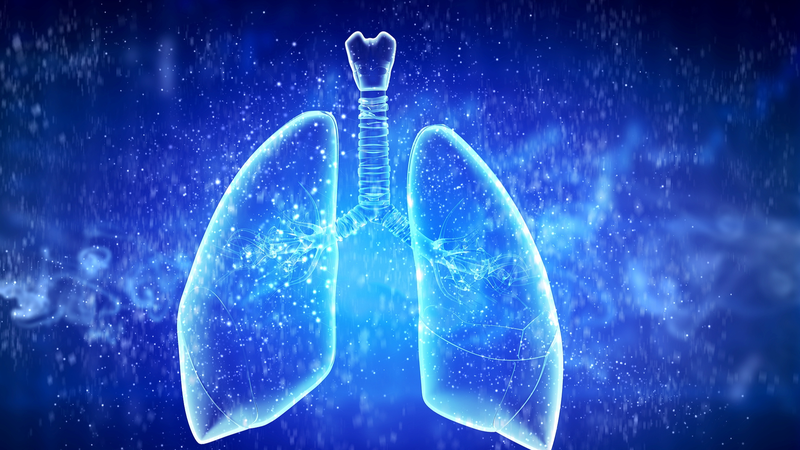 🚨 New Tech Battles Drug-Resistant TB: Can Innovation Save Lives? 🌍💊