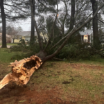 S43KNP2XI2GOFMDKN2ZA - 🌍NewspaperAmigo – Your Global News Buddy 🗞️ Great Lakes Power Outages as Storms Threaten Tennessee 🌪️💡