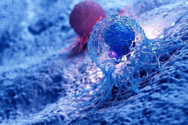 Scientists Discover Telomeres’ Secret Superpower Against Cancer 🧬🛡️ Scientists_Discover_Telomeres__Secret_Superpower_Against_Cancer____