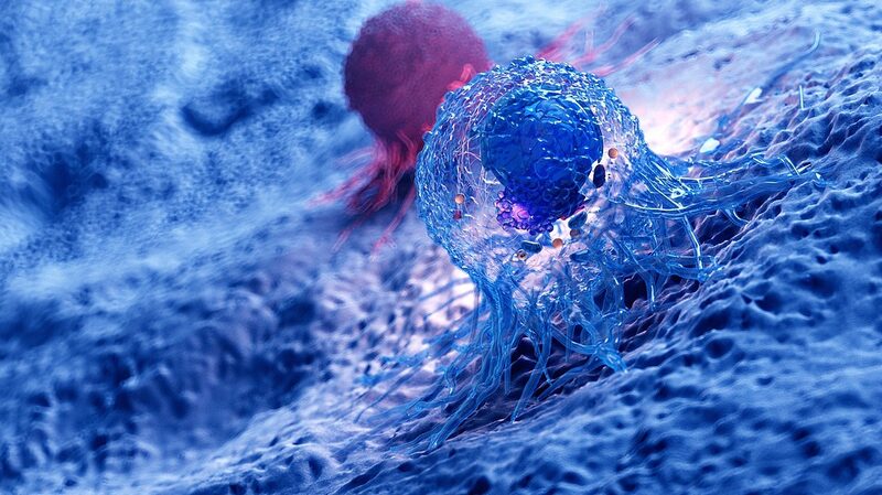 Scientists_Discover_Telomeres__Secret_Superpower_Against_Cancer____ - 🌍NewspaperAmigo – Your Global News Buddy 🗞️ Scientists_Discover_Telomeres__Secret_Superpower_Against_Cancer____