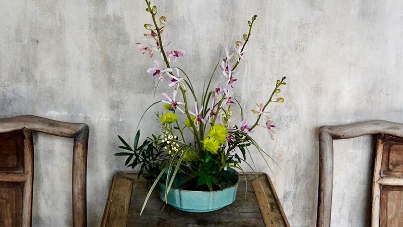 Spring_Blooms_Paint_Cultural_Masterpieces_in_Chinese_Villages___